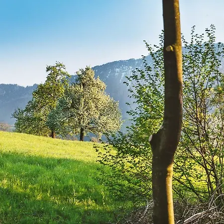 Ferienhaus Auszeit Beim Oswald